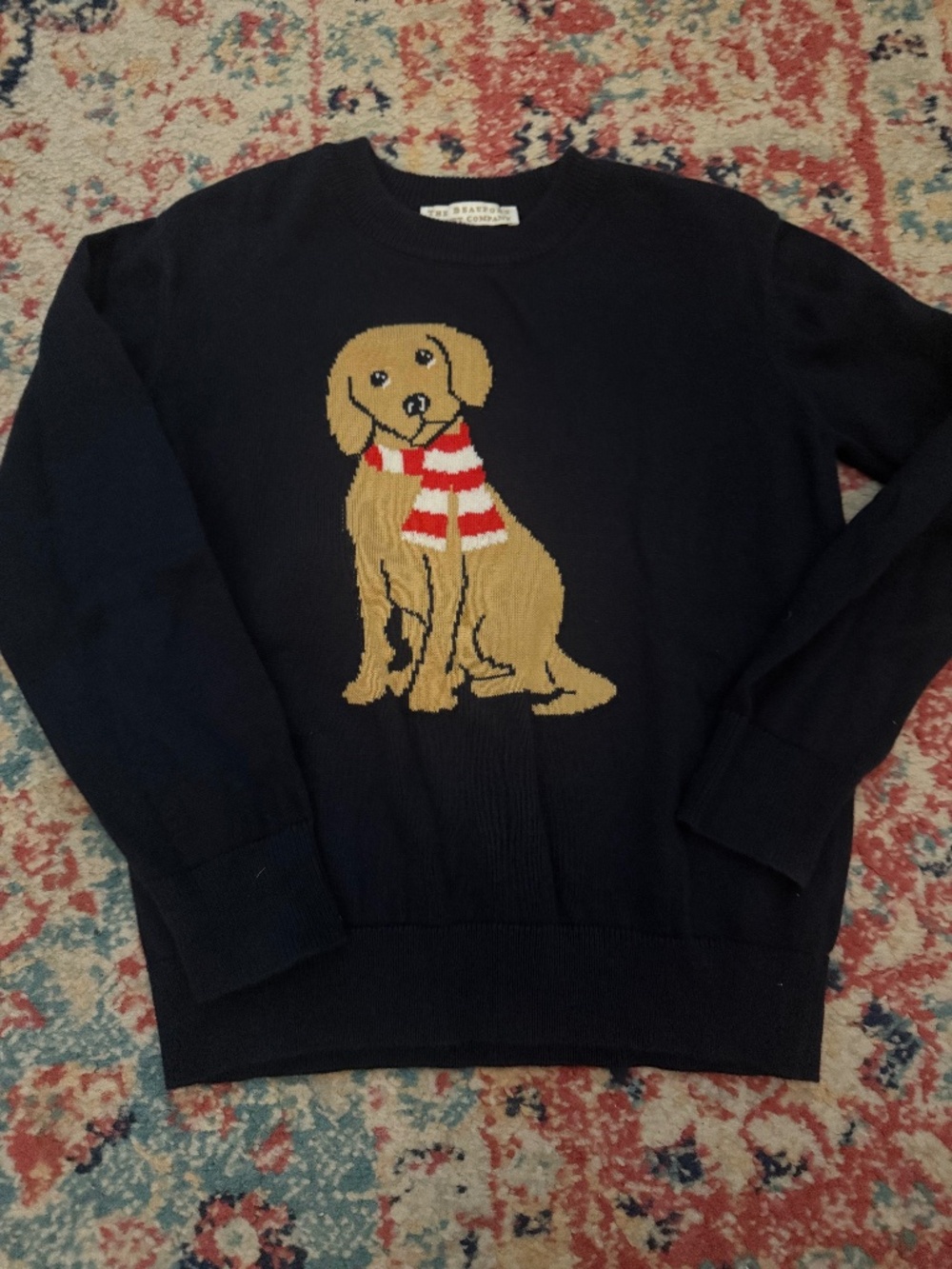 TBBC navy puppy sweater.